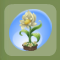 Sparkling Yellow Mini Everblossom.png