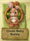 Clean Baby Bunny.png