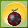 Dianthus Red Holly Jolly Ornament.png