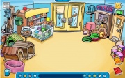 The Pet Shop (Inside)