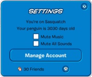 Player Info