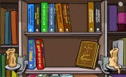 Library Shelf30 May 2008 (Click to enlarge)