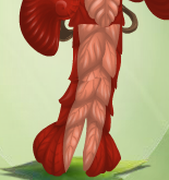 Strawberry Red Loony Lobster Bottom with Peachy Orange Trim