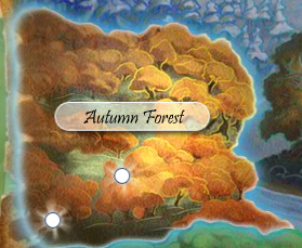 Autumn Forest