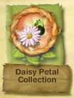 PH Daisy Petal Collection Badge.Png