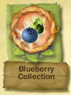PH Blueberry Collection Badge.Png