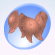Twirly Oak Top Salmon Pink.Png