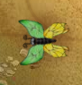 Butterfly Painter Butterfly Pattern Green And Yellow Colored.png