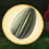 Sunflower Seeds Collected.Png