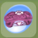 Jewel Box Pink Plumeria.Png