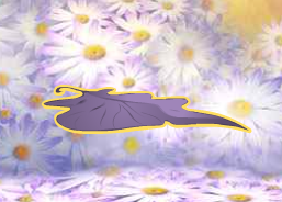 Fairy Furniture