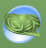 Fairy Decor 24 (Garden Talent).Png