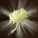 Dandelion Fluff In Game.Png