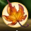 Maple Leaves Collected.Png