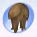 Ivy Petal Pushers Cinammon Brown.Png