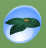 Fairy Decor 28 (Light Talent).Png