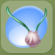 Secret Shell Necklace.Png