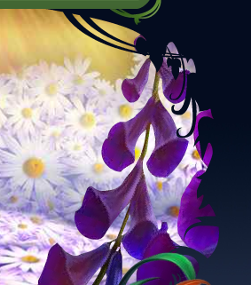Fairy Frame 4b (Garden Talent).Png