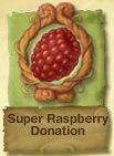 PH Super Raspberry Donation.PNG