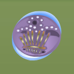 Petunia Purple Pebble Finger Harp