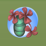 Bunnynose Pink Lucky Fortune Flower
