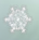 White Snowflake