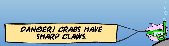 Crab Warning.jpg
