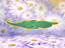 Fairy Furniture