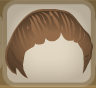 Hawk Brown Sleek and Styled.Png