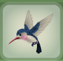 Hummingbird Blue.png