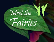 Meet the Fairies