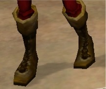 BigPTallBoots.jpg