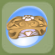 Jewel Box Orange Squash.Png