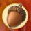 Acorns Collected.Png