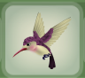 Hummingbird Purple.png