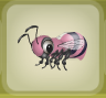 Bee Pink.png