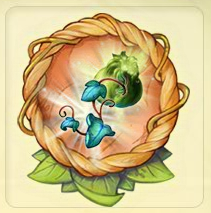 Ivy Collection