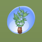 Blue-Tipped Potted Plant