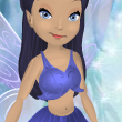 Bluebell Blue Ivy Top