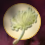 Dandelion Fluff Collected.Png