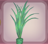 Green Fern Grass Houseplant.Png