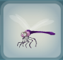 Dragonfly Purple.png