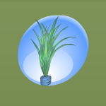 Marina Blue Grass Houseplant
