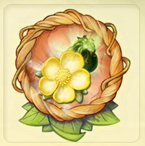 Buttercup Petal Collection