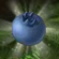 Blueberries In Game.Png