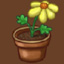 Flower pot.jpg