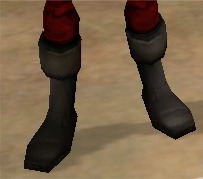 BigPBoots.jpg