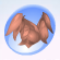 Oak Top Salmon Pink.Png