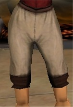 BigPShorts.jpg