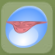 Seashell Shelf Daisy Pink.Png